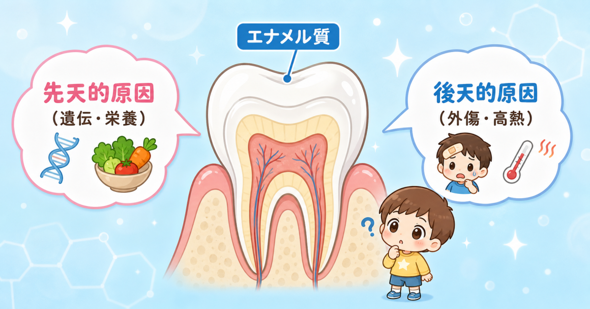 ■エナメル質形成不全とは?原因と乳歯・永久歯への影響