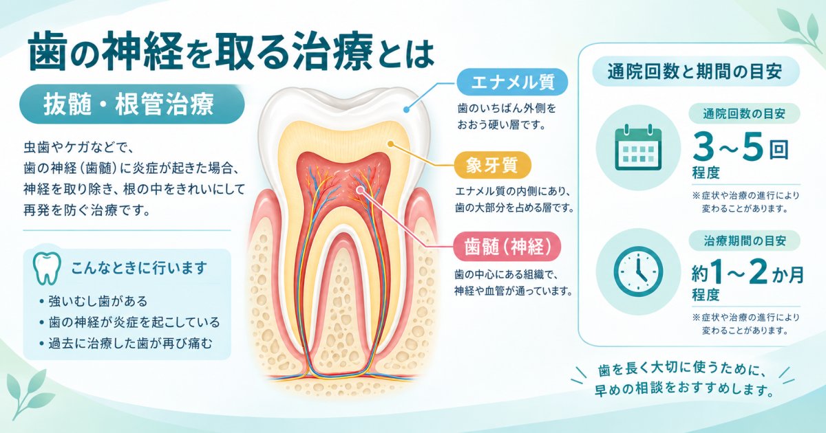 歯の神経を取る抜髄・根管治療とは?通院回数と期間の目安を解説