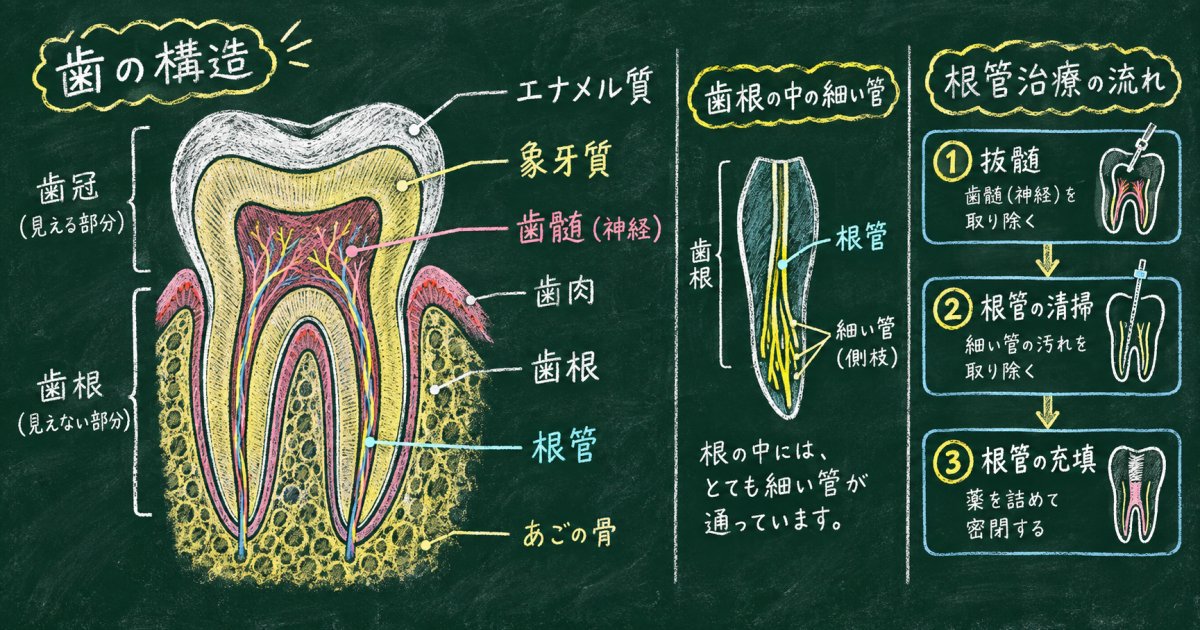 歯の神経を取る治療とは?抜髄・根管治療の基本を知る