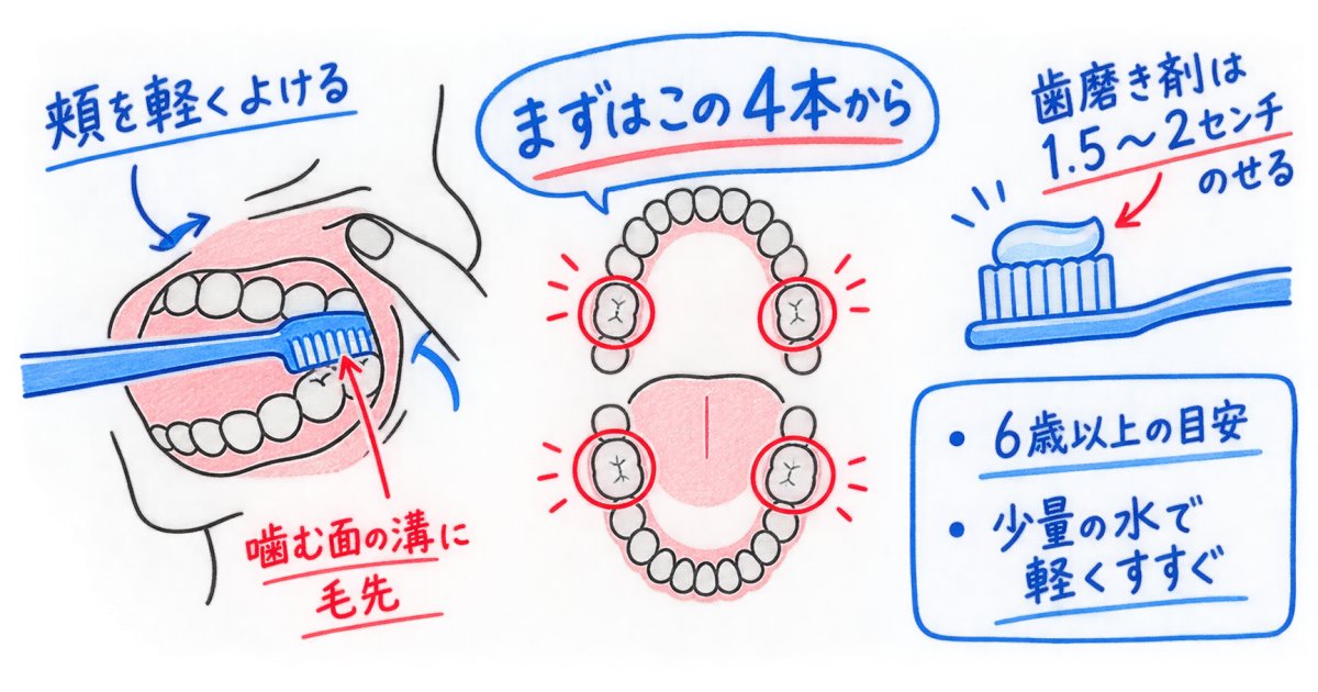 小学生の6歳臼歯を磨く、短時間の親子習慣